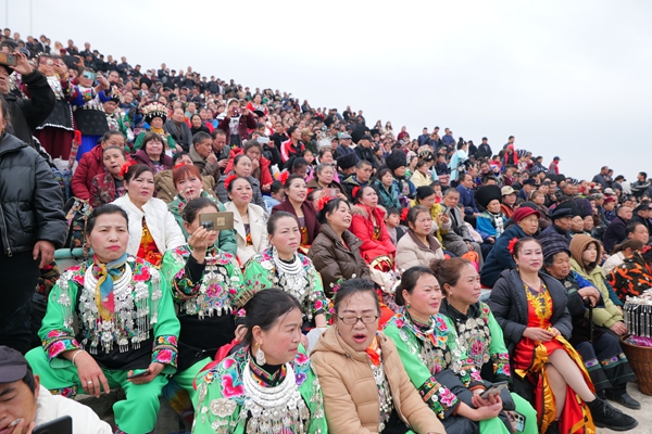 P1777875.jpg