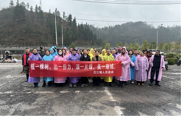图片19.jpg