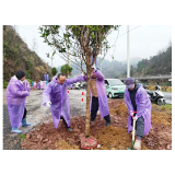 凤凰县委政法委组织党员志愿者开展义务植树活动