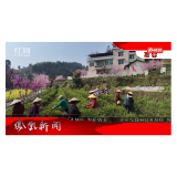 2025年03月31日湖南凤凰新闻