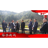 2025年04月04日湖南凤凰新闻