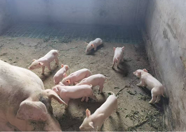 图片9.jpg