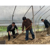 凤凰县新岩村：育苗工作正当时 致富之路有“盼头”