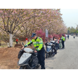 游人赴“春光” 凤凰交警护“平安”