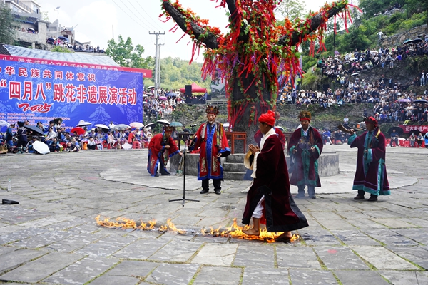 图片10.jpg