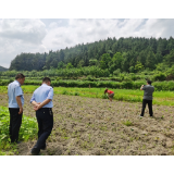 凤凰：拖欠货款起纠纷 人民调解促和谐