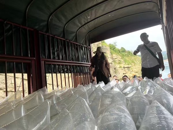 糜红武（右）在清点投放鱼苗的袋数，并为增殖鱼苗放流提供公证。.jpg
