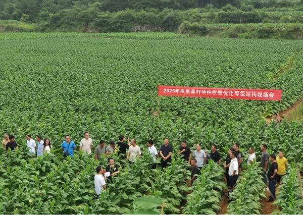 图片2.jpg