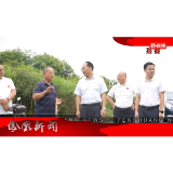 2025年06月11日湖南凤凰新闻