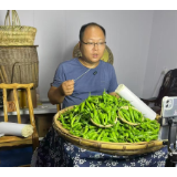 椒香不惧山路远，云端直送万家鲜——凤凰县筸子坪镇电商发展焕发新生