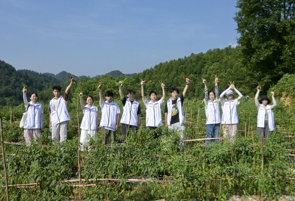 湖南师大医学生在得胜营社区开展助农实践活动：田间地头问计 青春力量助振兴