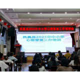 凤凰县开展2025年中小学心理普查工作培训
