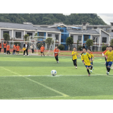 “奔跑吧·少年”凤凰县箭道坪第三小学第五届“校园杯”足球赛激情开赛