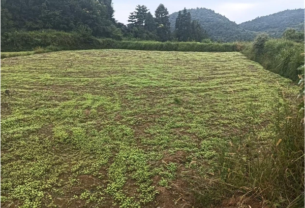 图片2.jpg 图片2.jpg