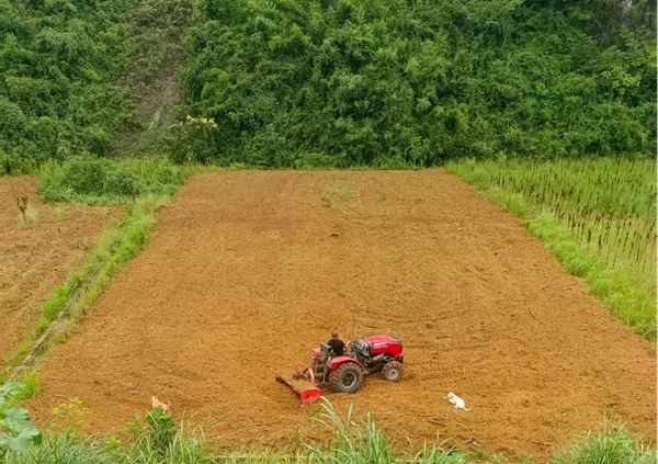 图片1.jpg 图片1.jpg