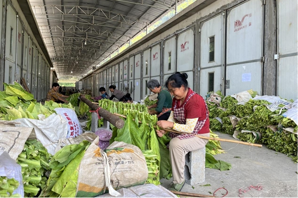图片27.jpg