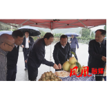 中国石化赴凤凰县开展乡村振兴专题调研