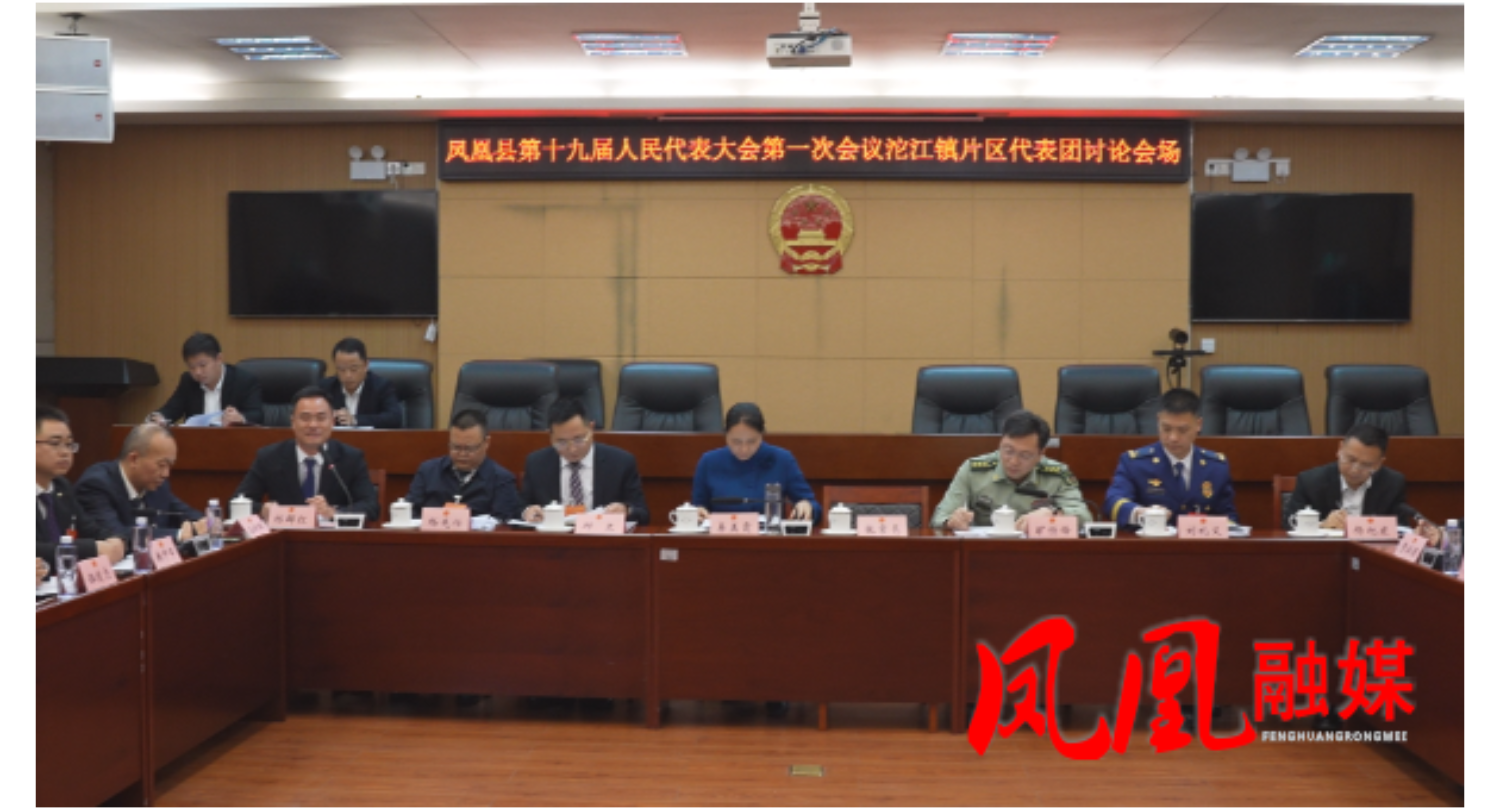 易美霞参加沱江镇片区代表团审议讨论：凝心聚智绘蓝图 笃行实干启新程