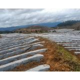 人勤春早耕烟田 凤凰县茶田镇起垄盖膜忙