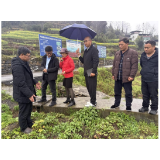 周美亮一行赴凤凰县开展苦荞育种扩繁与矮秆品种试验示范