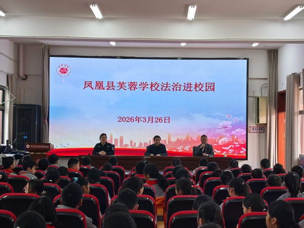 图片4.jpg 图片4.jpg