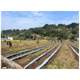 春有忙 待秋收｜凤凰县木江坪镇高山田村春耕正酣 辣椒栽种绘就丰收画卷