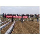 凤凰县：召开烟叶生产起垄盖膜现场会 以现场示范促标准落地