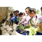 凤凰县满家村:研学赋能农旅融合 600名学子田野践学启新程