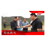 2026年04月11日湖南凤凰新闻