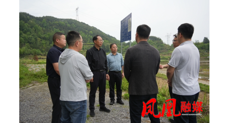 毛家深入乡镇调研督导抛荒耕地治理、高标准农田建设等农业重点工作