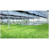 凤凰县两林乡：一株烟苗富农家