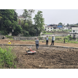 深耕500亩产业沃土 覆盖6个乡镇丨凤凰县首批仙草扦插种植激活中医药产业链新动能