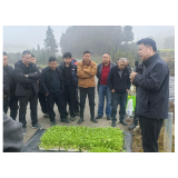 凤凰县召开烟叶移栽现场会