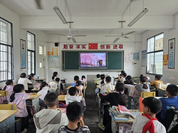 图片5.jpg