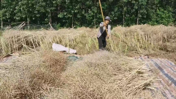 图片5.jpg 图片5.jpg
