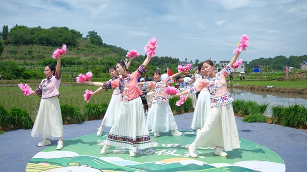 图片9.jpg 图片9.jpg