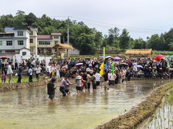 图片7.jpg 图片7.jpg