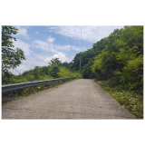 凤凰县禾库镇天星寨村开展道路沿线枯枝杂草及监控遮挡杂物清理整治工作
