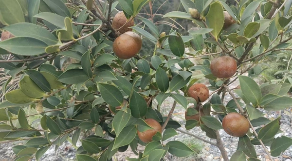 图片24.jpg 图片24.jpg