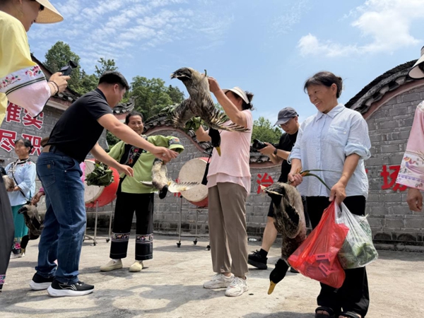 图片28.jpg