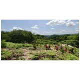 凤凰县水打田乡:精管油茶产业 厚植乡村振兴底气