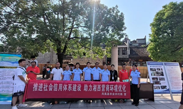 图片15.jpg
