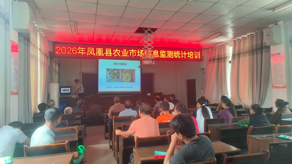 图片24.jpg