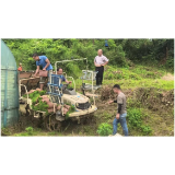 凤凰县腊尔山镇：铁牛闹春沃野忙，干群同心绘丰章