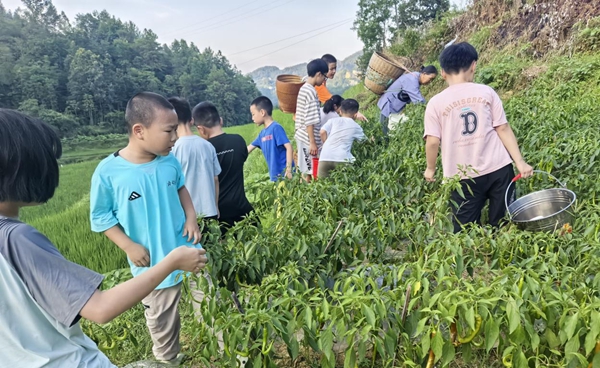 图片20.jpg 图片20.jpg