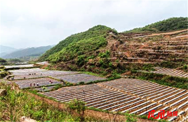 图片12.jpg 图片12.jpg