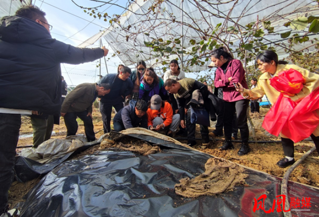 凤凰县种养加种植能手（大豆玉米专题）培训班圆满结业