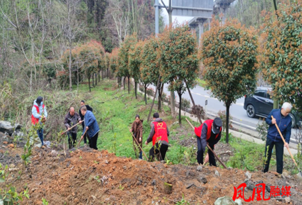 城北社区联合共建联点单位开展“美好家园共建设 植树造林绿乡村”活动