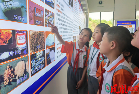 凤凰县芙蓉学校师生参观禁毒教育基地
