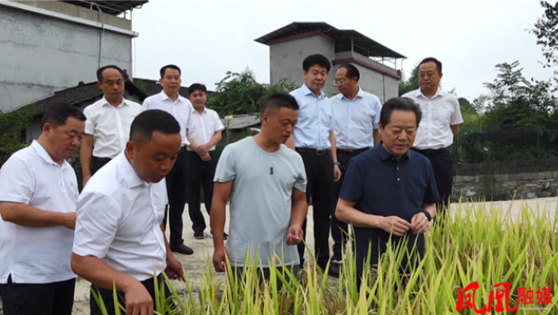 虢正贵在凤凰县调研县域经济发展时强调 补短板强优势锻长板　推动县域经济高质量发展